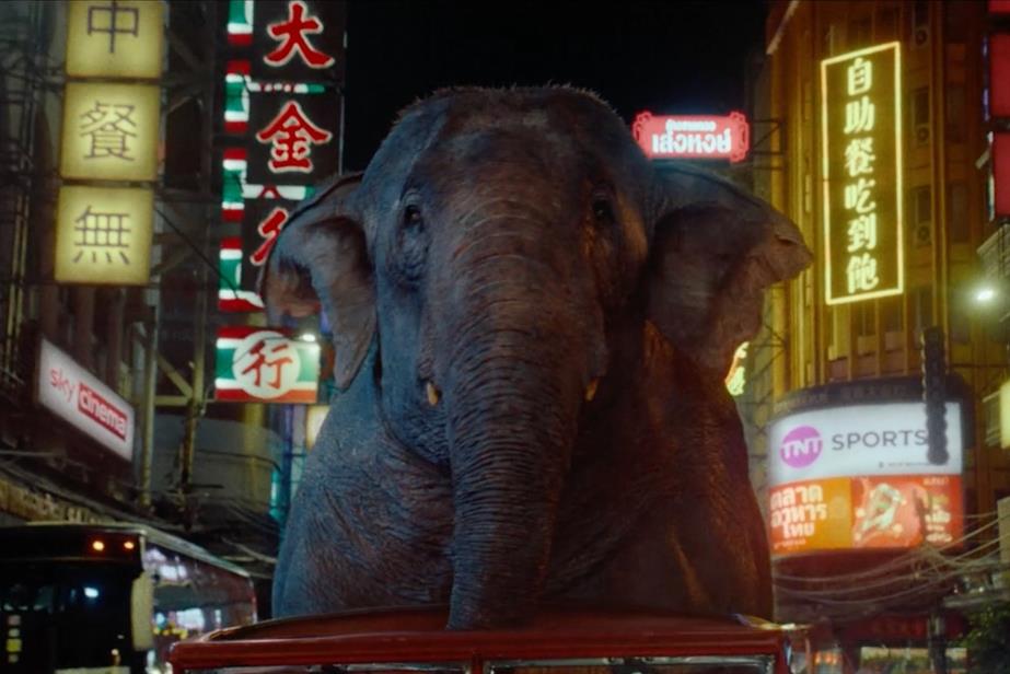 Elephant rides a truck in city of Bangkok. 