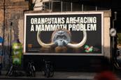 Borneo Orangutan Survival ad compares primate to mammoth