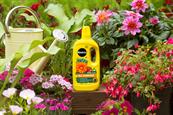 Evergreen Garden Care picks agency for integrated account
