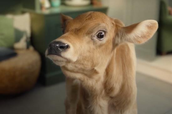 Beyond Meat “All taste. No worries” by Isobel