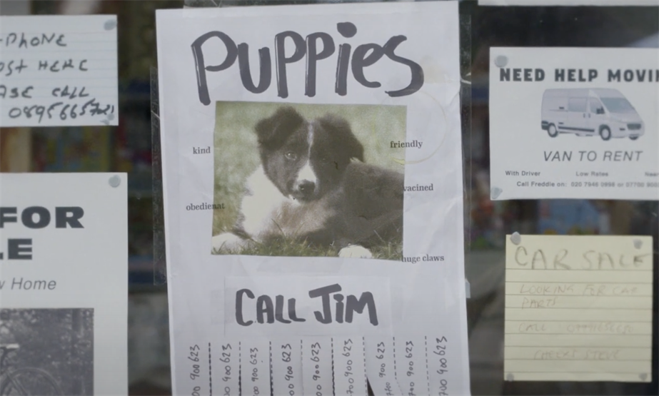 A still from the Capital One ad showing an ad for puppies